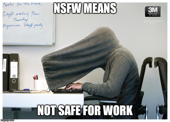 privacy | NSFW MEANS; NOT SAFE FOR WORK | image tagged in privacy,nsfw,not safe for work | made w/ Imgflip meme maker