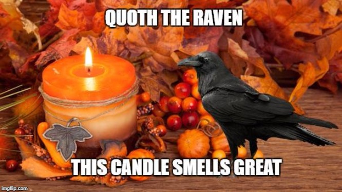 image tagged in edgar allan poe,raven,halloween,pumpkin,pumpkin spice | made w/ Imgflip meme maker