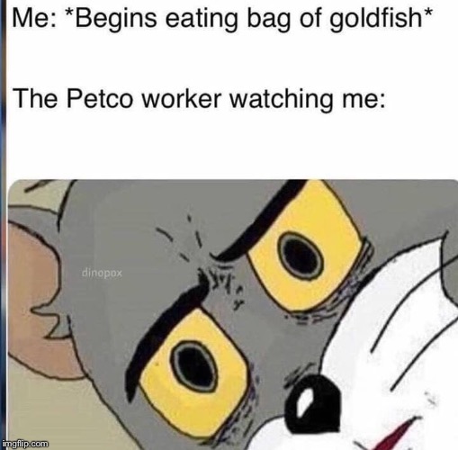 Tasty fish | image tagged in unsettled tom,memes | made w/ Imgflip meme maker
