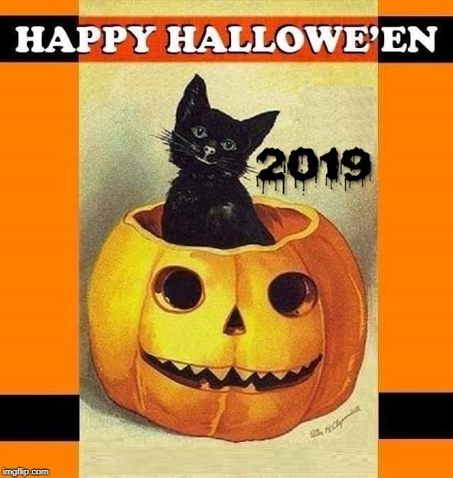 image tagged in pumpkin,happy halloween,halloween,kitty | made w/ Imgflip meme maker