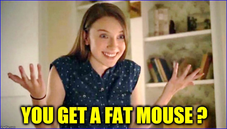 YOU GET A FAT MOUSE ? | made w/ Imgflip meme maker