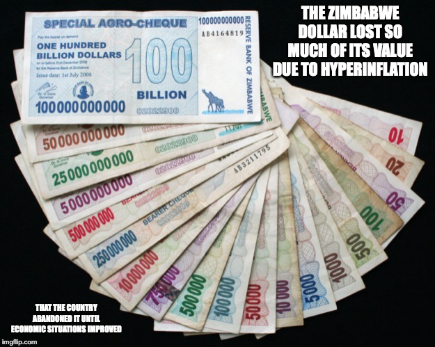 Zimbabwe Dollar | THE ZIMBABWE DOLLAR LOST SO MUCH OF ITS VALUE DUE TO HYPERINFLATION; THAT THE COUNTRY ABANDONED IT UNTIL ECONOMIC SITUATIONS IMPROVED | image tagged in zimbabwe,dollar,money,memes | made w/ Imgflip meme maker
