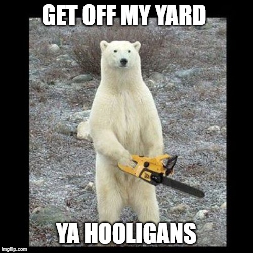 GET OFF MY YARD YA HOOLIGANS | image tagged in memes,chainsaw bear | made w/ Imgflip meme maker