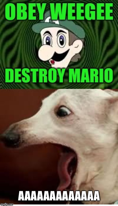 WeEgEe scares Dog | image tagged in memes,funny,halloween,weegee,dogs,lol | made w/ Imgflip meme maker