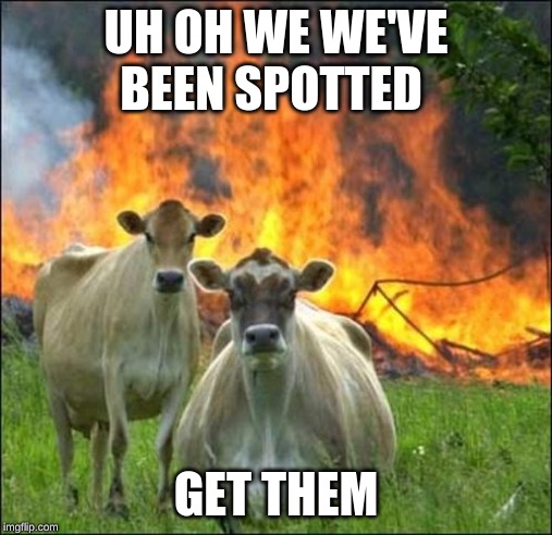 Evil Cows Meme | UH OH WE WE'VE BEEN SPOTTED; GET THEM | image tagged in memes,evil cows | made w/ Imgflip meme maker