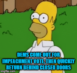 Quick, Back to the Star Chamber | DEMS COME OUT FOR IMPEACHMENT VOTE, THEN QUICKLY RETURN BEHIND CLOSED DOORS | image tagged in gifs,homer simpson,impeach trump | made w/ Imgflip video-to-gif maker