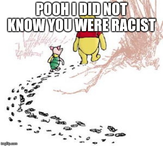 pooh and piglet | POOH I DID NOT KNOW YOU WERE RACIST | image tagged in pooh and piglet | made w/ Imgflip meme maker