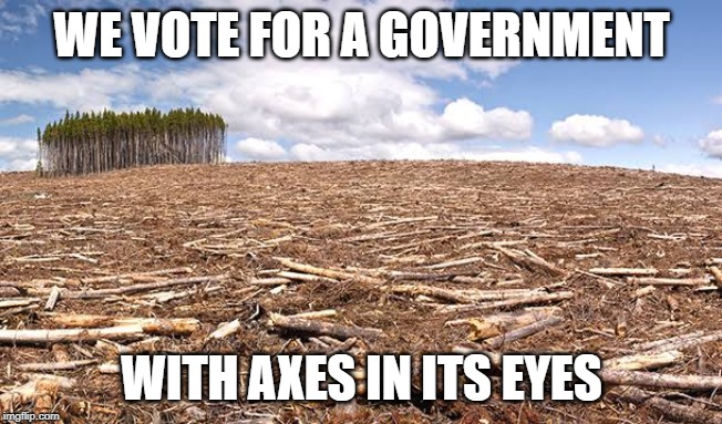We vote for a government with axes in its eyes | WE VOTE FOR A GOVERNMENT; WITH AXES IN ITS EYES | image tagged in climate change,government,democracy,environment | made w/ Imgflip meme maker