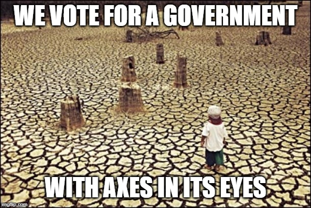 We vote for a government with axes in its eyes | WE VOTE FOR A GOVERNMENT; WITH AXES IN ITS EYES | image tagged in climate change,deforestation,democracy,government,environment | made w/ Imgflip meme maker
