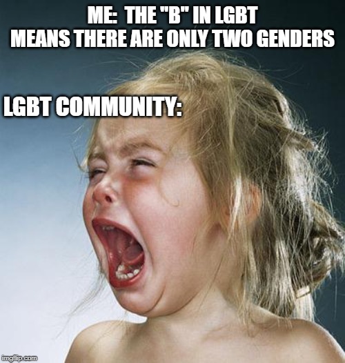 little girl screaming | ME:  THE "B" IN LGBT MEANS THERE ARE ONLY TWO GENDERS; LGBT COMMUNITY: | image tagged in little girl screaming | made w/ Imgflip meme maker