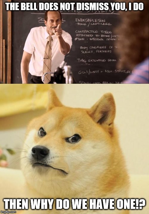Get that crap out of here | THE BELL DOES NOT DISMISS YOU, I DO; THEN WHY DO WE HAVE ONE!? | image tagged in mad doge,key and peele substitute teacher,teachers,annoying,what | made w/ Imgflip meme maker