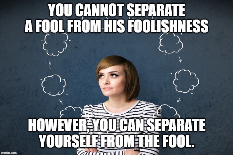 Dealing with fools | YOU CANNOT SEPARATE A FOOL FROM HIS FOOLISHNESS; HOWEVER, YOU CAN SEPARATE YOURSELF FROM THE FOOL. | image tagged in foolishness,dealing with life | made w/ Imgflip meme maker