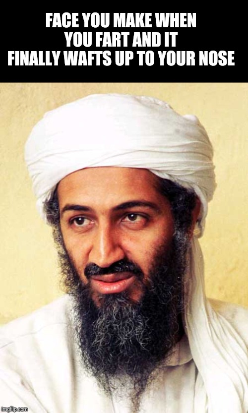 Bin Laden Meme : Osama Bin Laden S Hard Drive Shows Terrorist Had A ...