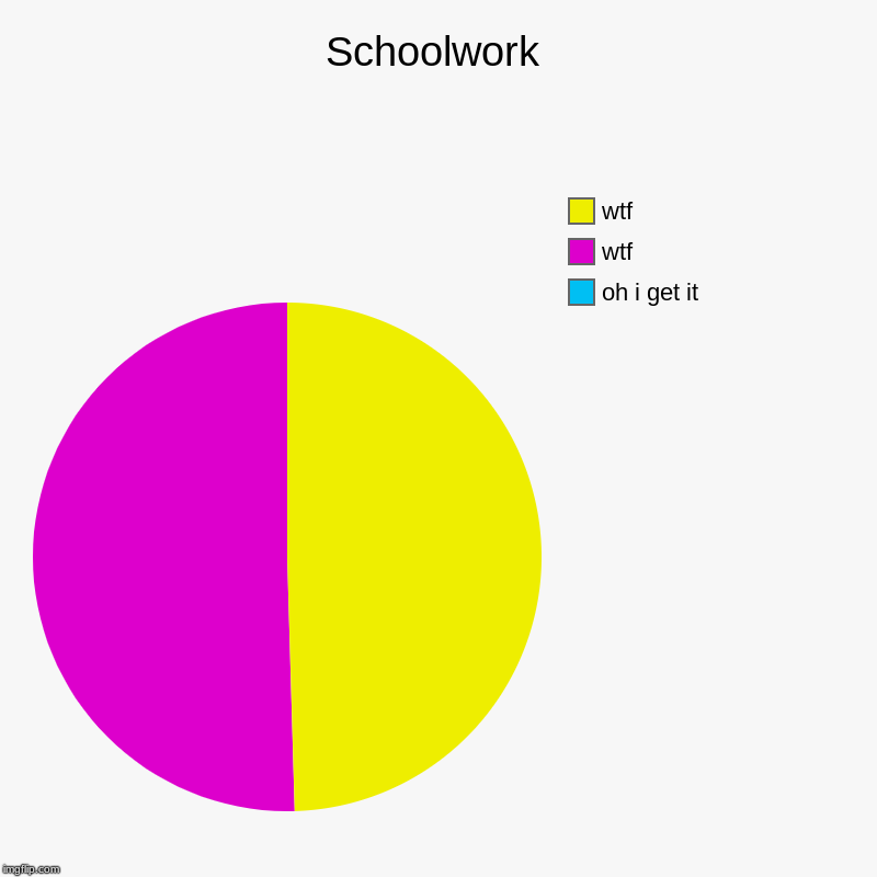 Schoolwork | oh i get it, wtf, wtf | image tagged in charts,pie charts | made w/ Imgflip chart maker