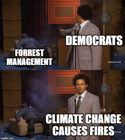 Who Killed Hannibal Meme | DEMOCRATS; FORREST MANAGEMENT; CLIMATE CHANGE CAUSES FIRES | image tagged in memes,who killed hannibal | made w/ Imgflip meme maker