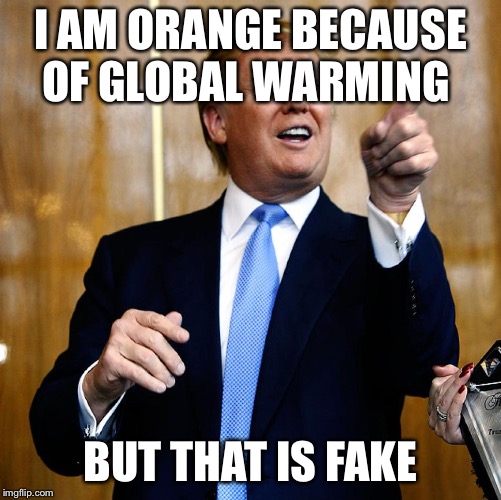 Donal Trump Birthday | I AM ORANGE BECAUSE OF GLOBAL WARMING; BUT THAT IS FAKE | image tagged in donal trump birthday | made w/ Imgflip meme maker