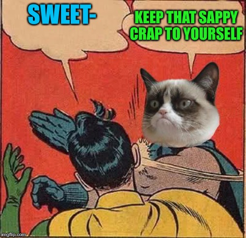 Grumpy Cat Slapping Robin | SWEET- KEEP THAT SAPPY CRAP TO YOURSELF | image tagged in grumpy cat slapping robin | made w/ Imgflip meme maker