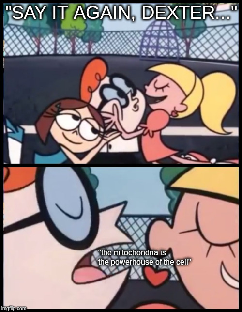 Say it Again, Dexter | "SAY IT AGAIN, DEXTER..."; "the mitochondria is the powerhouse of the cell" | image tagged in memes,say it again dexter | made w/ Imgflip meme maker