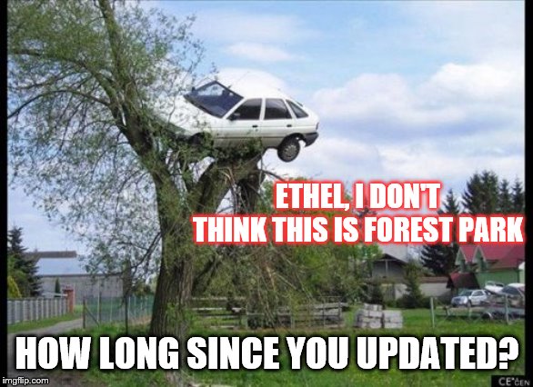 Secure Parking |  ETHEL, I DON'T THINK THIS IS FOREST PARK; HOW LONG SINCE YOU UPDATED? | image tagged in memes,secure parking,funny | made w/ Imgflip meme maker