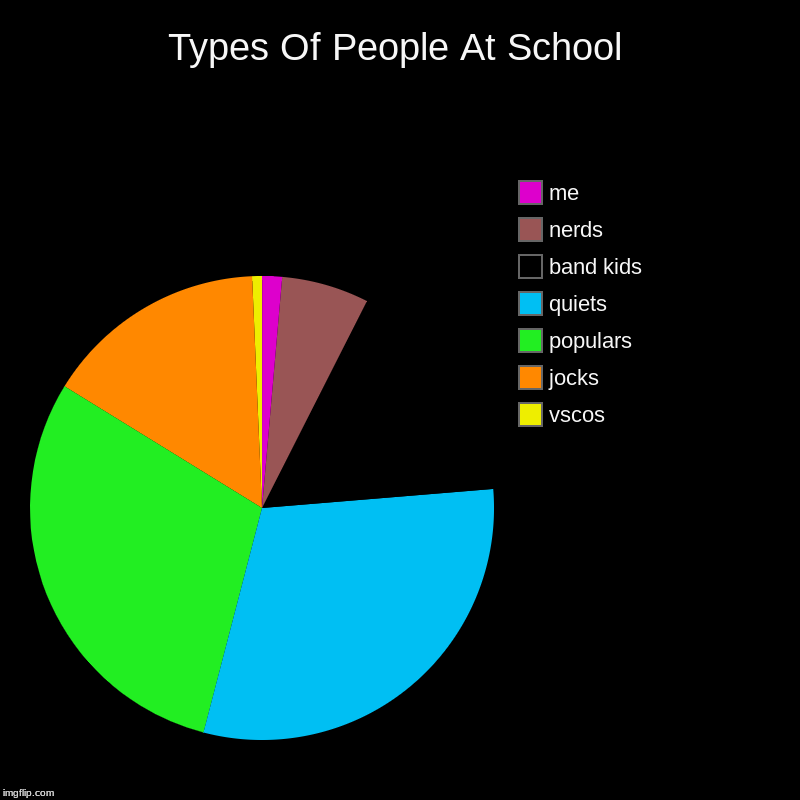 Types Of People At School | vscos, jocks, populars, quiets, band kids, nerds, me | image tagged in charts,pie charts | made w/ Imgflip chart maker