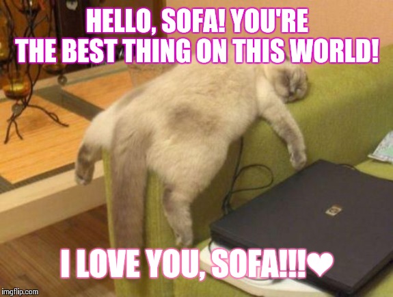 This cat love his sofa!❤ | HELLO, SOFA! YOU'RE THE BEST THING ON THIS WORLD! I LOVE YOU, SOFA!!!❤ | image tagged in cat sleeping,i love you,sofa | made w/ Imgflip meme maker