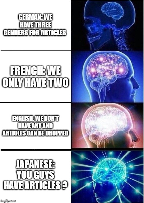 Expanding Brain Meme | GERMAN: WE HAVE THREE GENDERS FOR ARTICLES; FRENCH: WE ONLY HAVE TWO; ENGLISH: WE DON'T HAVE ANY AND ARTICLES CAN BE DROPPED; JAPANESE: YOU GUYS HAVE ARTICLES ? | image tagged in memes,expanding brain | made w/ Imgflip meme maker