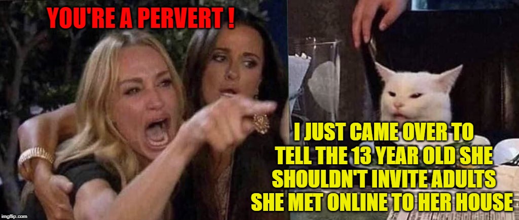woman yelling at cat | YOU'RE A PERVERT ! I JUST CAME OVER TO TELL THE 13 YEAR OLD SHE SHOULDN'T INVITE ADULTS SHE MET ONLINE TO HER HOUSE | image tagged in woman yelling at cat | made w/ Imgflip meme maker