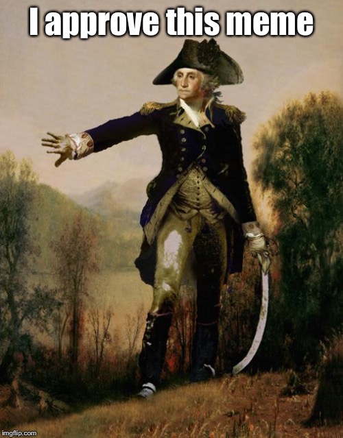 George Washington 6 | I approve this meme | image tagged in george washington 6 | made w/ Imgflip meme maker