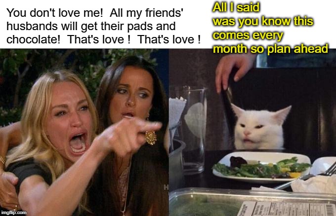 Woman Yelling At Cat Meme | You don't love me!  All my friends' husbands will get their pads and chocolate!  That's love !  That's love ! All I said was you know this c | image tagged in memes,woman yelling at a cat | made w/ Imgflip meme maker