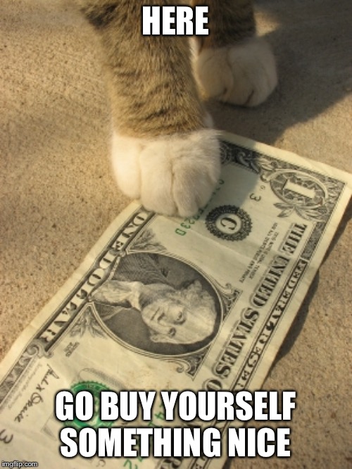 cat money | HERE GO BUY YOURSELF SOMETHING NICE | image tagged in cat money | made w/ Imgflip meme maker