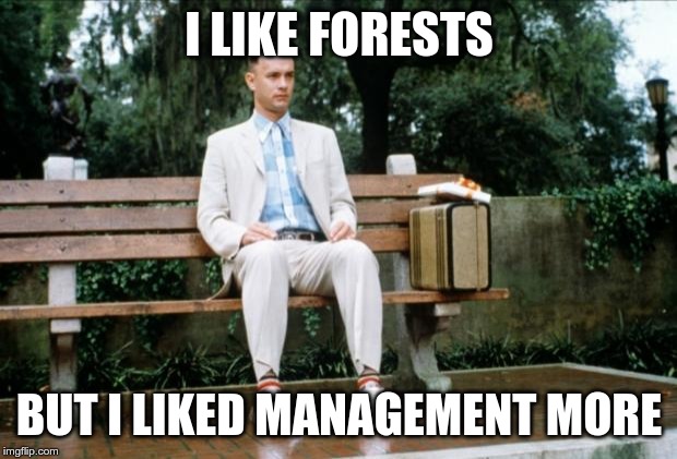 Forrest Gump | I LIKE FORESTS BUT I LIKED MANAGEMENT MORE | image tagged in forrest gump | made w/ Imgflip meme maker