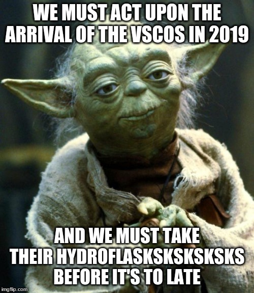 Star Wars Yoda | WE MUST ACT UPON THE ARRIVAL OF THE VSCOS IN 2019; AND WE MUST TAKE THEIR HYDROFLASKSKSKSKSKS BEFORE IT'S TO LATE | image tagged in memes,star wars yoda | made w/ Imgflip meme maker