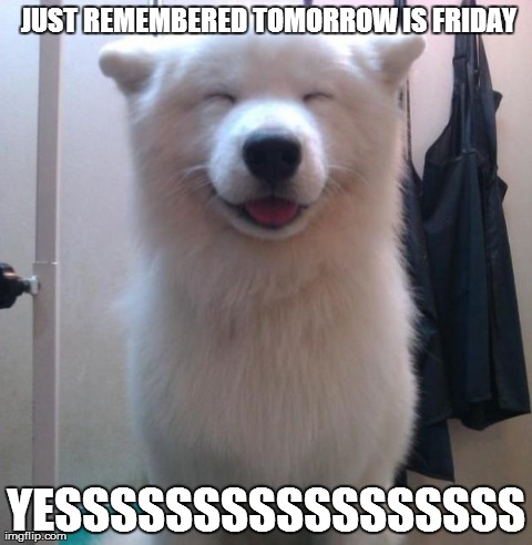 image tagged in dogs,animals,cute,smile | made w/ Imgflip meme maker