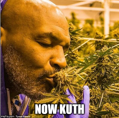 Mike Tyson Samples The Product | NOW KUTH | image tagged in mike tyson,marijuana | made w/ Imgflip meme maker