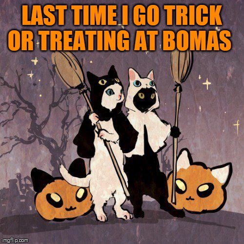 LAST TIME I GO TRICK OR TREATING AT BOMAS | made w/ Imgflip meme maker