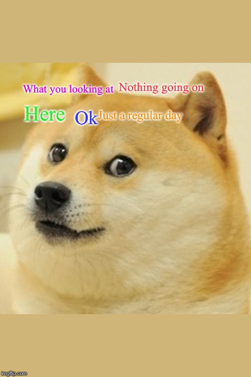 Doge Meme | Nothing going on; What you looking at; Here; Just a regular day; Ok | image tagged in memes,doge | made w/ Imgflip meme maker