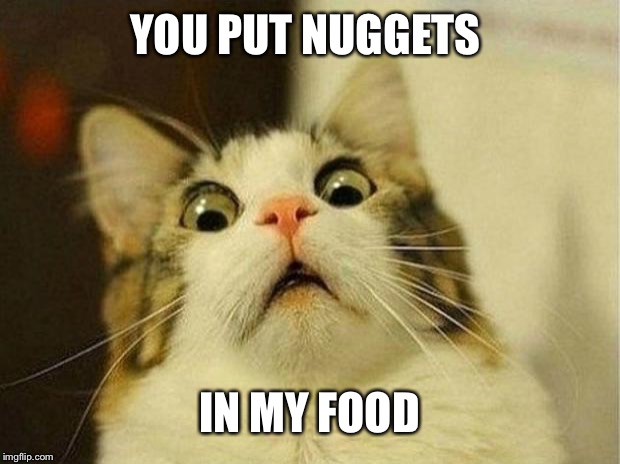 Scared Cat Meme | YOU PUT NUGGETS; IN MY FOOD | image tagged in memes,scared cat | made w/ Imgflip meme maker