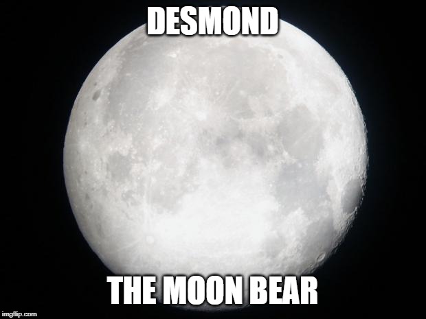 Full Moon | DESMOND; THE MOON BEAR | image tagged in full moon | made w/ Imgflip meme maker