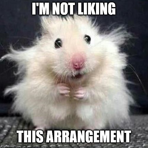 Stressed Mouse | I'M NOT LIKING THIS ARRANGEMENT | image tagged in stressed mouse | made w/ Imgflip meme maker