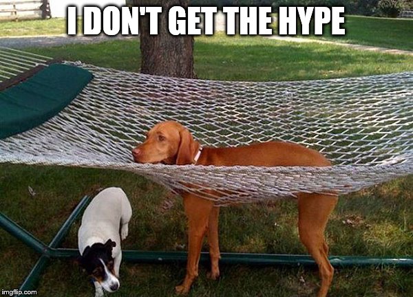 dog hammock | I DON'T GET THE HYPE | image tagged in dog hammock | made w/ Imgflip meme maker