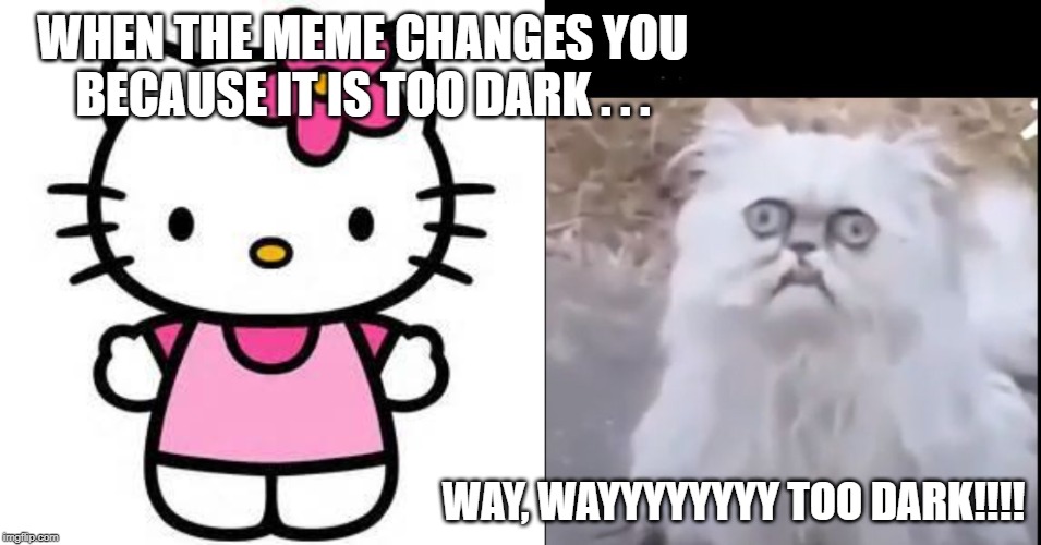 WHEN THE MEME CHANGES YOU BECAUSE IT IS TOO DARK . . . WAY, WAYYYYYYYY TOO DARK!!!! | image tagged in hello kitty,blinking cat | made w/ Imgflip meme maker