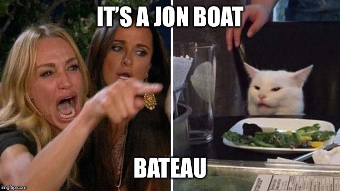 Angry lady cat | IT’S A JON BOAT; BATEAU | image tagged in angry lady cat | made w/ Imgflip meme maker