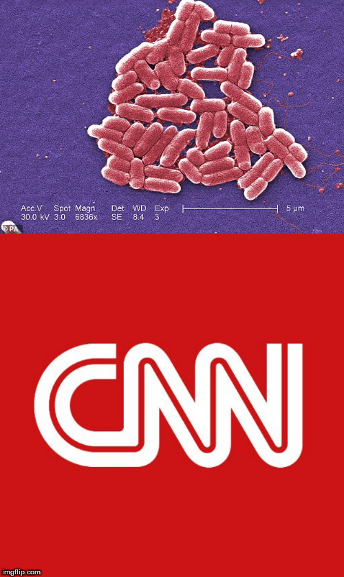 image tagged in cnn,bacteria | made w/ Imgflip meme maker