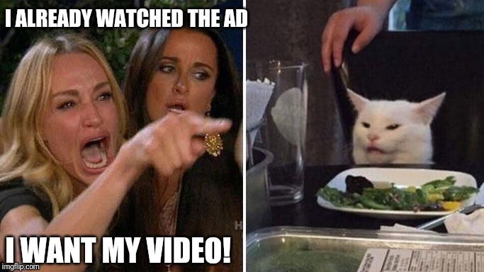 Woman yelling at cat | image tagged in woman yelling at cat | made w/ Imgflip meme maker