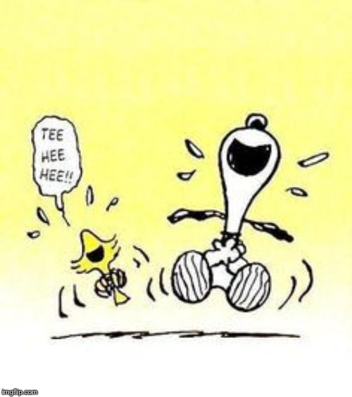 Snoopy and Woodstock laughing | image tagged in snoopy and woodstock laughing | made w/ Imgflip meme maker