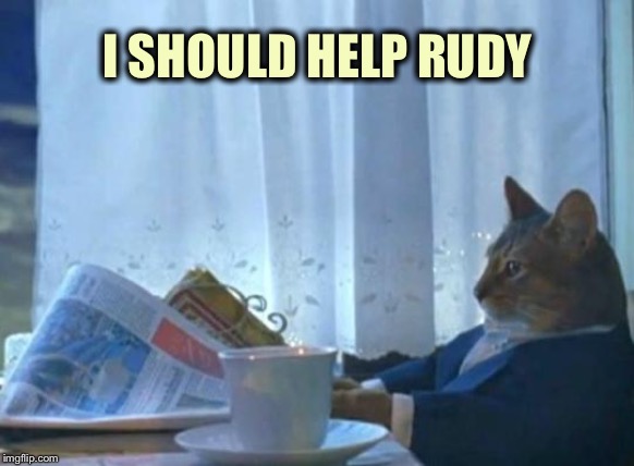 Cat newspaper | I SHOULD HELP RUDY | image tagged in cat newspaper | made w/ Imgflip meme maker