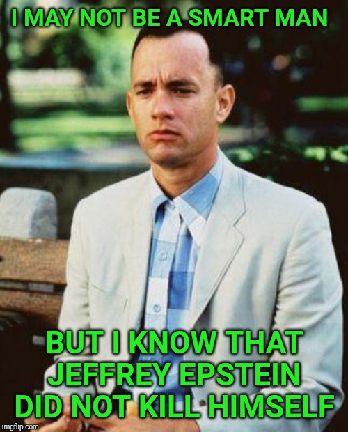 I AM NOT A SMART FORREST | I MAY NOT BE A SMART MAN; BUT I KNOW THAT JEFFREY EPSTEIN DID NOT KILL HIMSELF | image tagged in i am not a smart forrest,jeffrey epstein,bill clinton,hillary clinton,pedophile | made w/ Imgflip meme maker