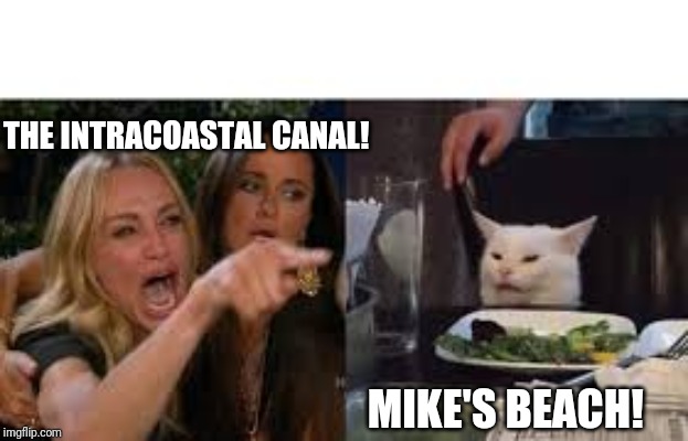 Lady pointing at cat | THE INTRACOASTAL CANAL! MIKE'S BEACH! | image tagged in lady pointing at cat | made w/ Imgflip meme maker