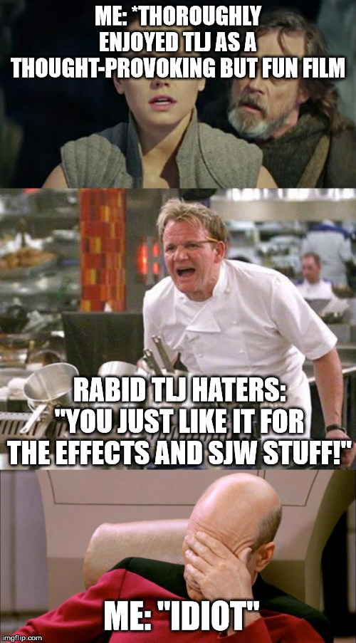 ME: *THOROUGHLY ENJOYED TLJ AS A THOUGHT-PROVOKING BUT FUN FILM; RABID TLJ HATERS: "YOU JUST LIKE IT FOR THE EFFECTS AND SJW STUFF!"; ME: "IDIOT" | image tagged in the last jedi | made w/ Imgflip meme maker