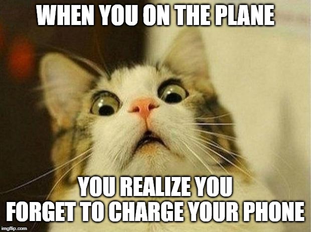 Scared Cat | WHEN YOU ON THE PLANE; YOU REALIZE YOU FORGET TO CHARGE YOUR PHONE | image tagged in memes,scared cat | made w/ Imgflip meme maker